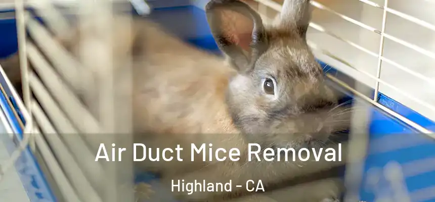 Air Duct Mice Removal Highland - CA