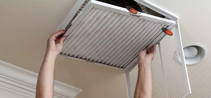 Our Insect Removal from Air Ducts Services in Highland, CA