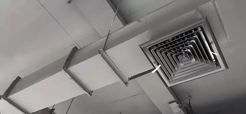 Our Rodent Droppings In Vents Services in Highland, CA