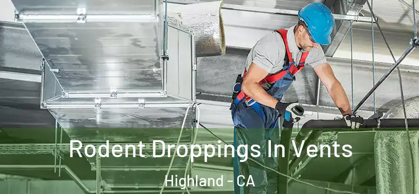Rodent Droppings In Vents Highland - CA