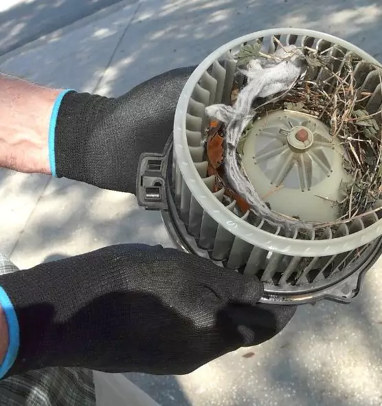 About Air Duct Rat Removal in Highland, CA