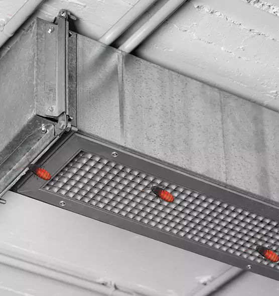Affordable Insect Removal from Air Ducts in Highland, CA
