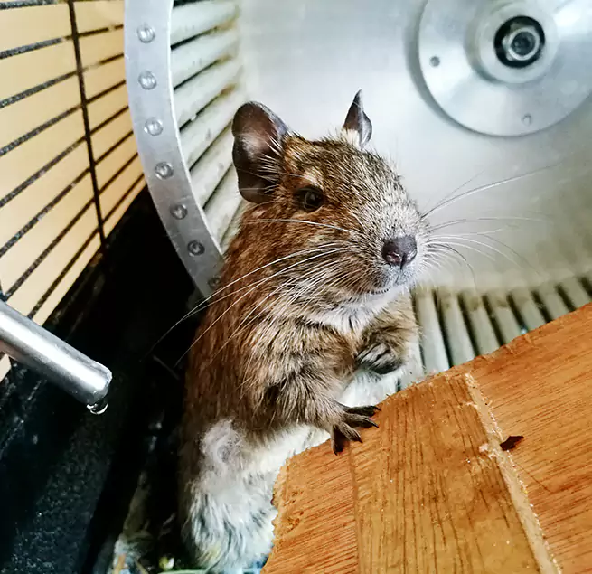 Why Homeowners & Businesses Trust Us Highland, CA