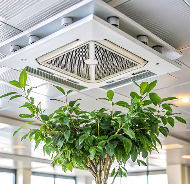 Why Homeowners & Businesses Trust Us in Highland, CA